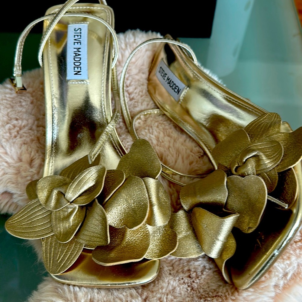 Gold pair of Amani by Steve Madden